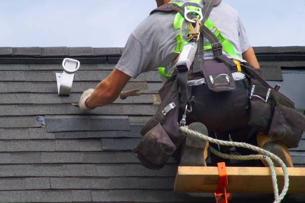 Best Roof Gutter Cleaning  in Hanover, MN