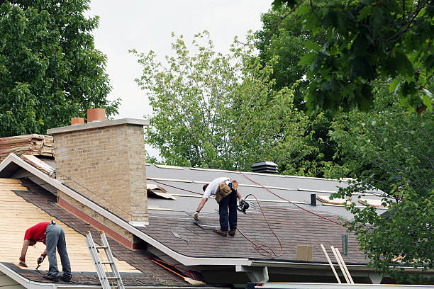 Best Roof Repair Services  in Hanover, MN