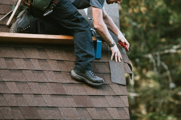 Best Roof Leak Repair  in Hanover, MN