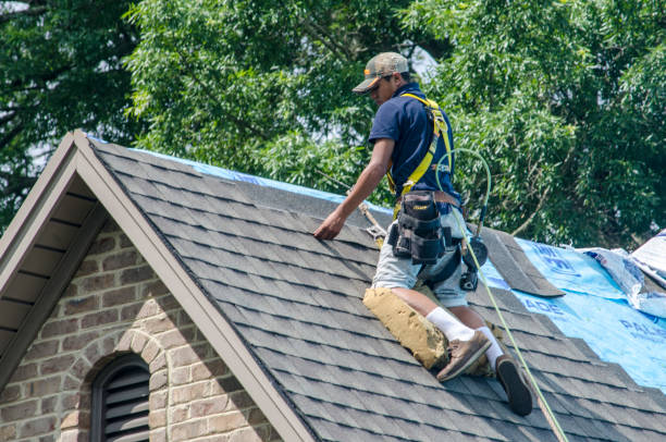 Best Emergency Roof Repair  in Hanover, MN